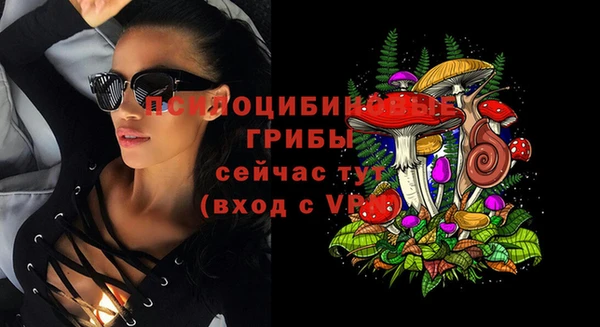 ECSTASY Михайлов